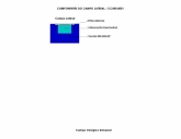 COMPONENTES DO CAMPO LATERAL / CCU40.0001